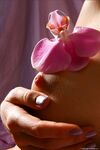 .. Olia - Bodyscape, Orchid