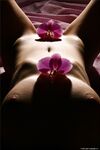 .. Olia - Bodyscape, Orchid