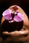 .. Olia - Bodyscape, Orchid