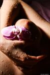 .. Olia - Bodyscape, Orchid