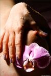 .. Olia - Bodyscape, Orchid