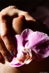 .. Olia - Bodyscape, Orchid