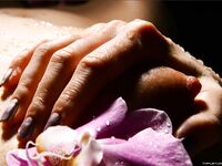 .. Olia - Bodyscape, Orchid