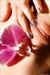 .. Olia - Bodyscape, Orchid