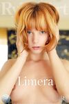 .. Lily - Limera