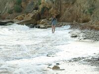 Petra E - Surf In