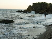 Petra E - Surf In