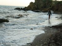 Petra E - Surf In