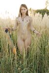 Lady Di - The Harvest