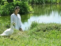 Divina A - Slanym