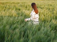 Sofy Bee - Naturel