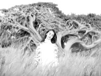 Sofy Bee - Naturel