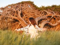 Sofy Bee - Naturel