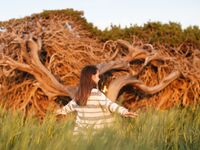 Sofy Bee - Naturel