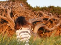 Sofy Bee - Naturel