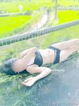 swingdog Photos