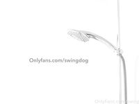 swingdog Photos