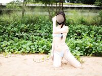 swingdog Photos