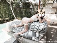 swingdog Photos