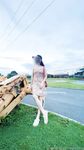 swingdog Photos