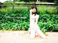 swingdog Photos
