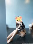 swingdog Photos