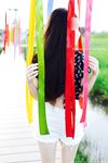 swingdog Photos