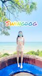 swingdog Photos