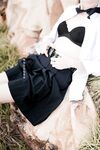 swingdog Photos
