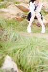 swingdog Photos