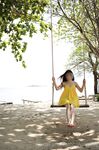 swingdog Photos