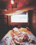 Barebackpackers