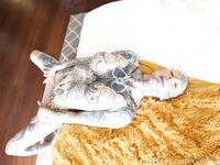 Cignosuicide Cigno