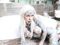 Cignosuicide Cigno