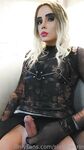 Sissynesrin