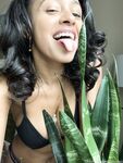 Anyaivy Ivy