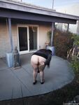 Corruptviolet Violet Magic Pussy