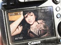 Pennysuicide