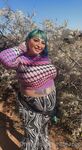 Reiinapop