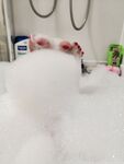 Laceylooxxx