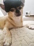 Laceylooxxx