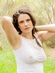 Aussielilyfox