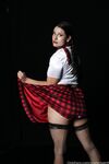 Aussielilyfox