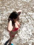 Aussielilyfox