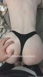 Chimchitansfw