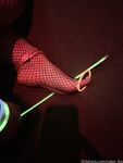 Cyber Fox