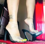 Lemonpeppasteppas