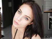 Mollyella