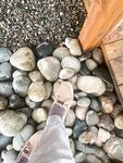 Solewhoe