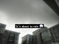 Tokixpoki